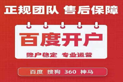某大型企业选择SEM竞价代运营公司的决策过程与效果评估